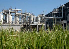 Sugar Industries Sugar Industries